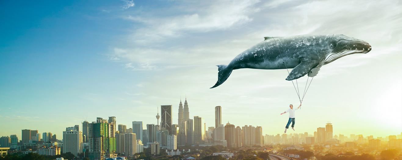 Whale Banner